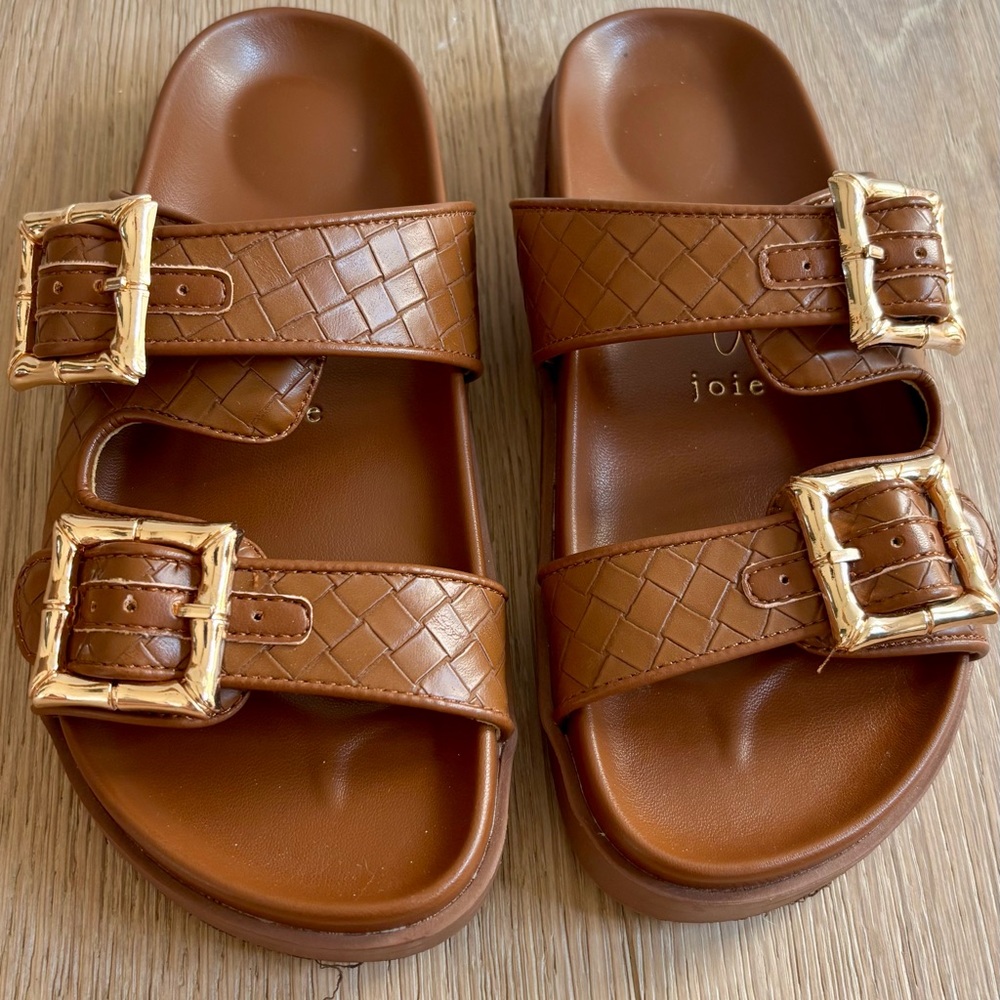 Joie Slide Sandals with Gold Buckles